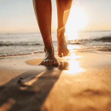 Funciones clave de la vitamina D en el cuerpo humano: desde la salud ósea hasta la función inmunológica.