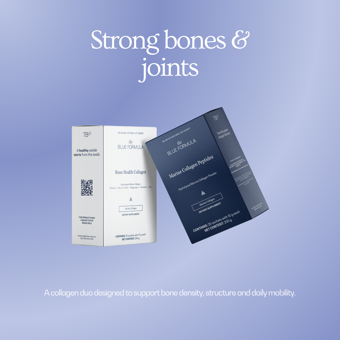 Core Strength Essentials 